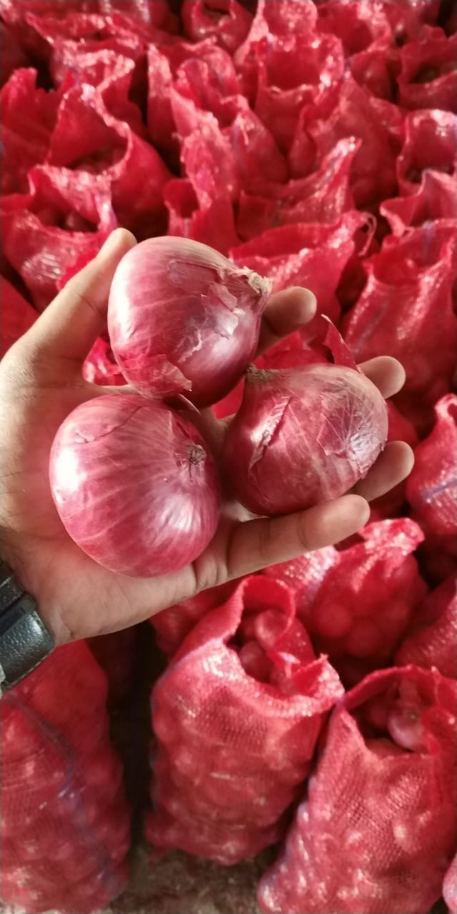 https://greebleagro.com/wp-content/uploads/2019/04/A-Grade-Big-Onion4.jpg