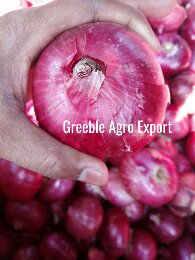 Maharashtra Fresh Red Onion, Net Bag, Packaging Size: 50 Kg