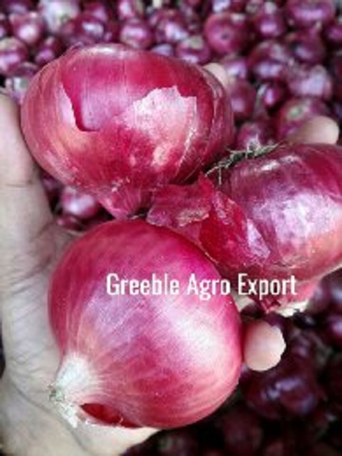 Organic, Nutritional and Natural red onion 20kg bag 