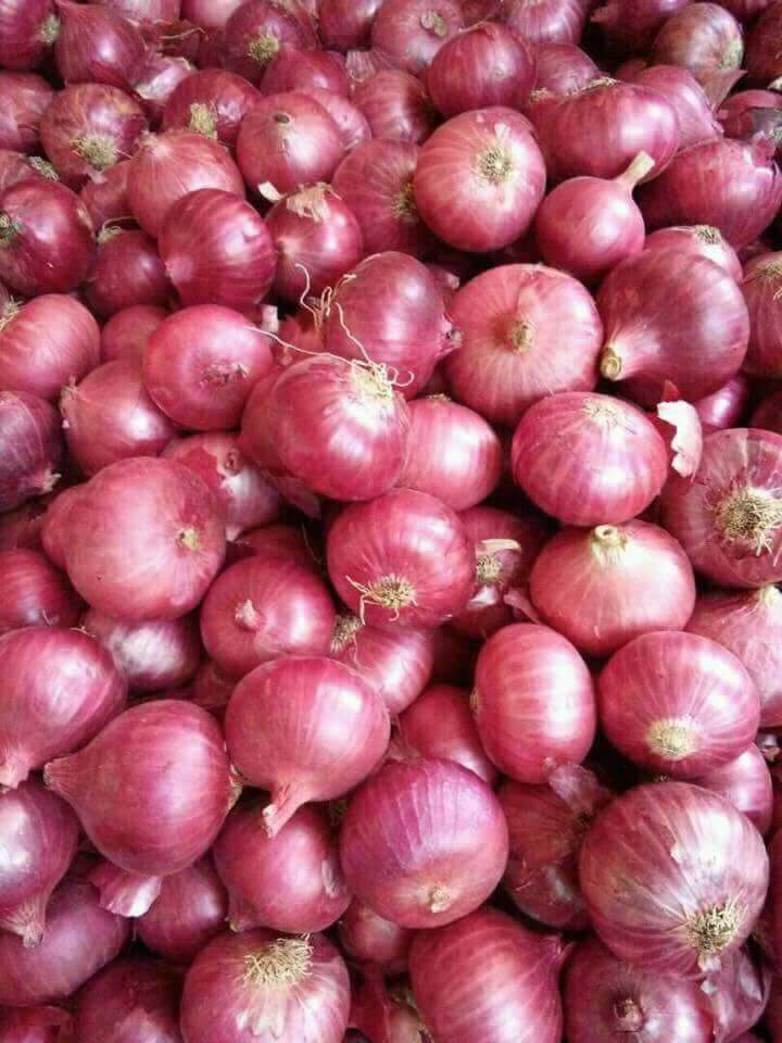 Fresh Red Onions 8cm and up Packing in 10kg/Bag - China Onion, Fresh Onion