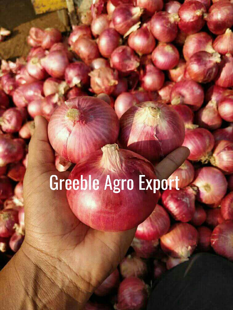 Maharashtra Fresh Red Onion, Net Bag, Packaging Size: 50 Kg